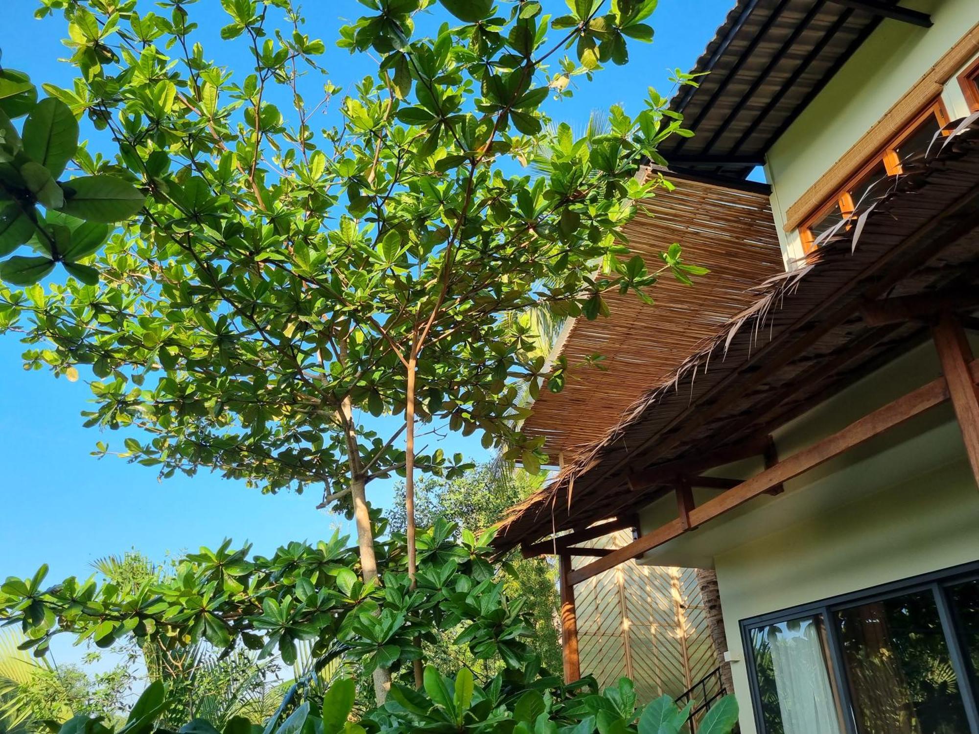 Innerzen Riverside Homestay Ben Tre - Japanese Style Eksteriør billede